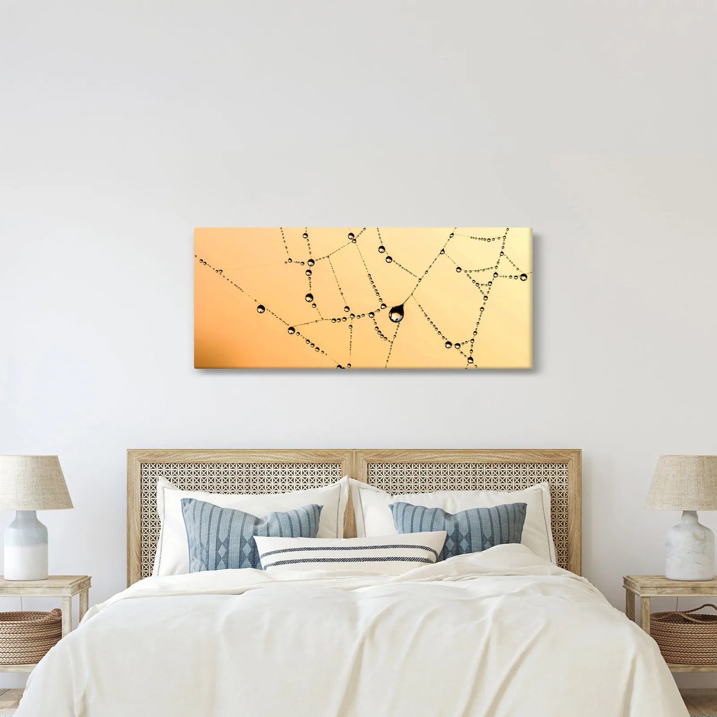 Obraz orosenej pavučiny (120x50 cm)