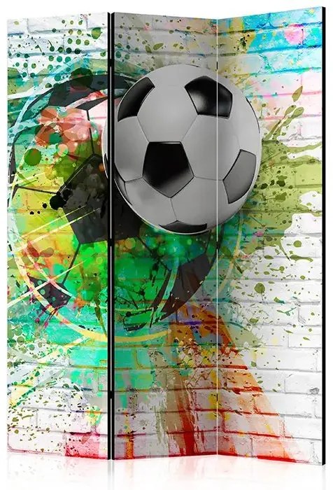 Paraván - Colourful Sport [Room Dividers] Veľkosť: 135x172, Verzia: Jednostranný