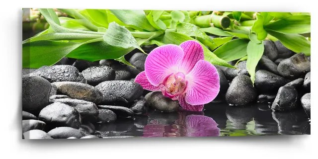 Sablio Obraz Ružová orchidea - 110x50 cm