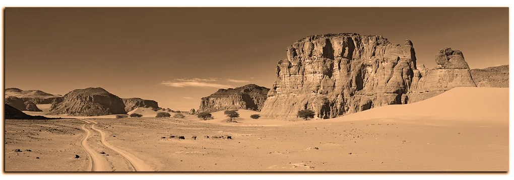 Obraz na plátne - Cesta v púšti - panoráma 5129FA (105x35 cm)