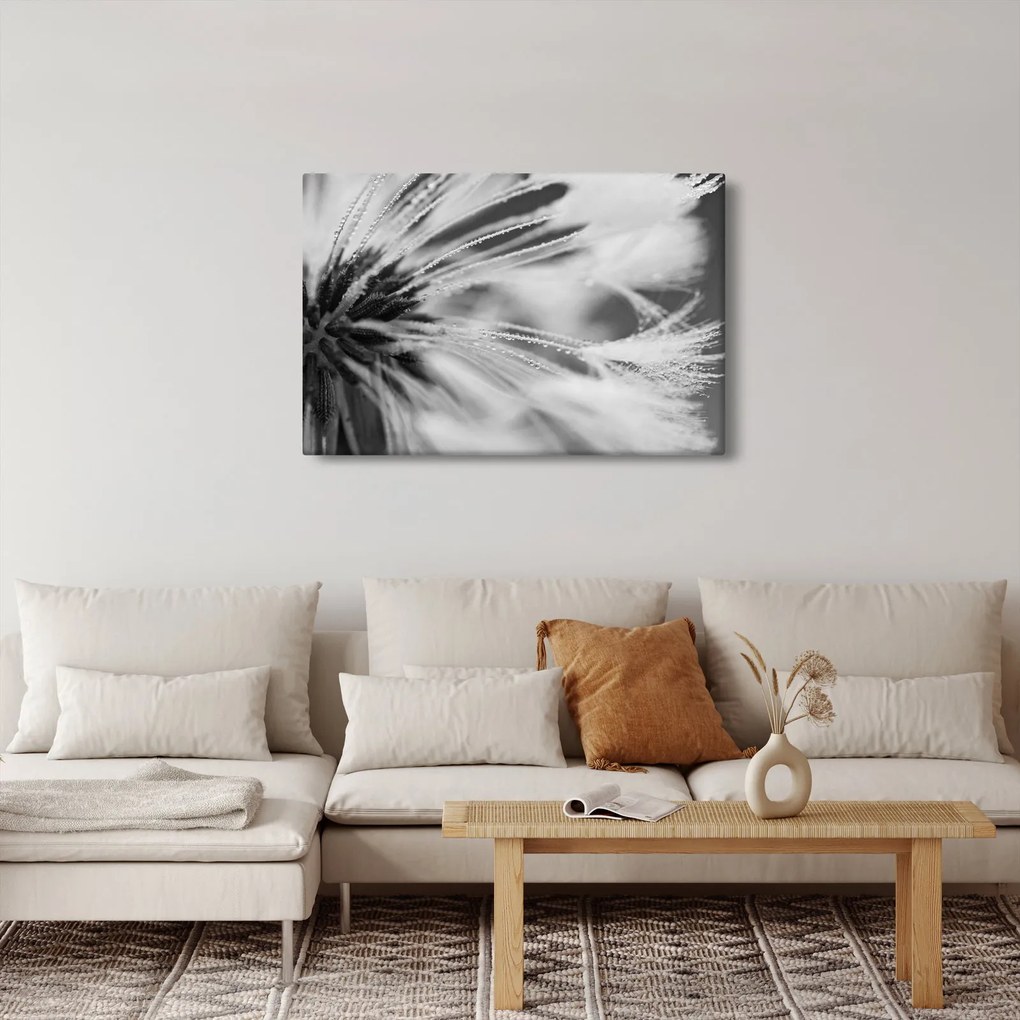 Obraz - Makro, čiernobiela (90x60 cm)