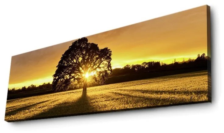 Obraz s led osvetlením Ledda Strom 90x30 cm