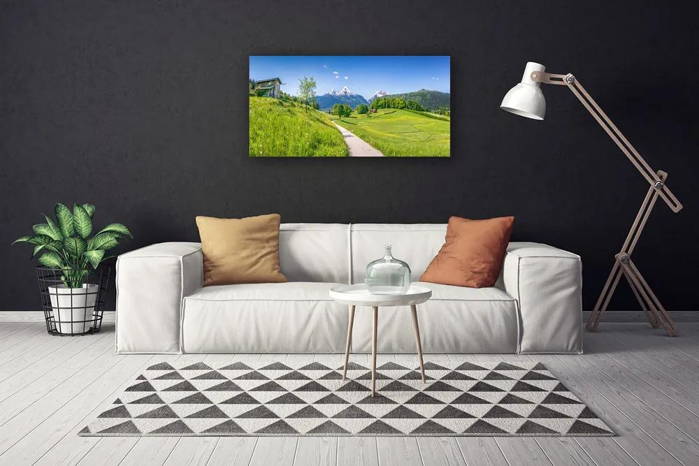 Obraz Canvas Hory lúka chodník údolí 120x60 cm