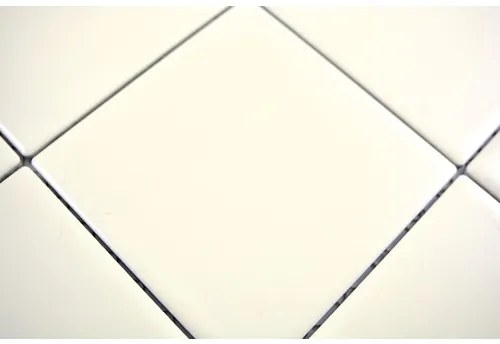 Keramická mozaika CQ 135 30x30 cm