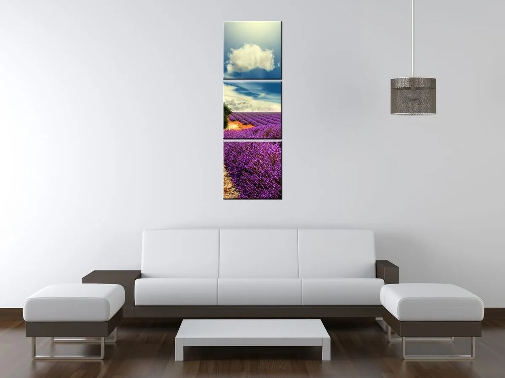 Gario Obraz na plátne Čarovná levanduľová krajina - 3 dielny Rozmery: 90 x 30 cm