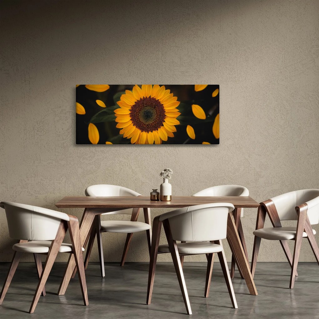 Obraz - Slnečnice a lístky kvetov (120x50 cm)