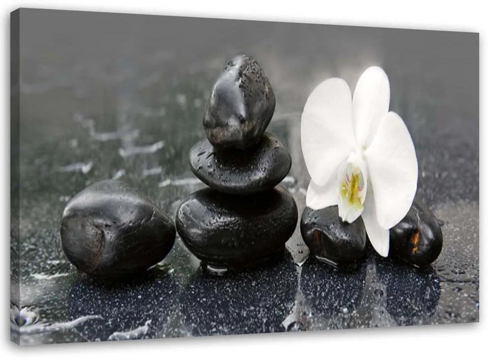 Obraz na plátně Orchid Stone Zen Spa - 60x40 cm