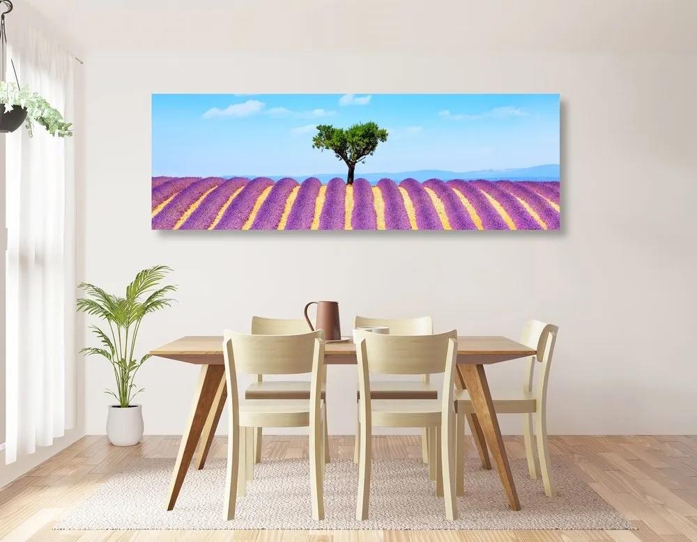 Obraz provensálske levanduľové pole - 150x50