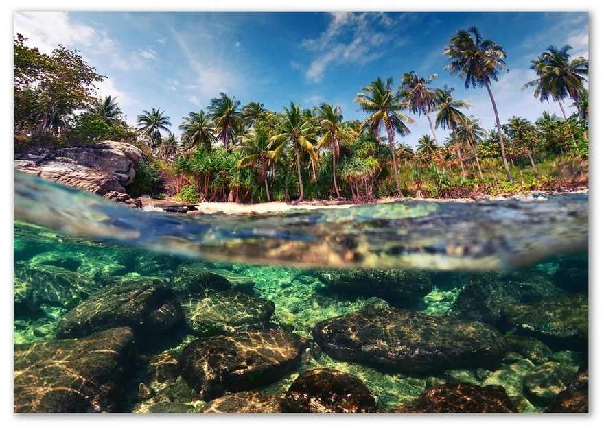 Fotoobraz na skle Tropická pláž pl-osh-100x70-f-90407162