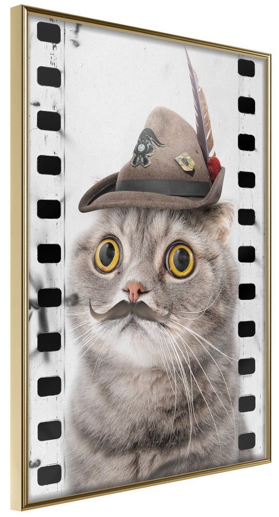 Artgeist Plagát - Cat In Hat [Poster] Veľkosť: 20x30, Verzia: Čierny rám s passe-partout