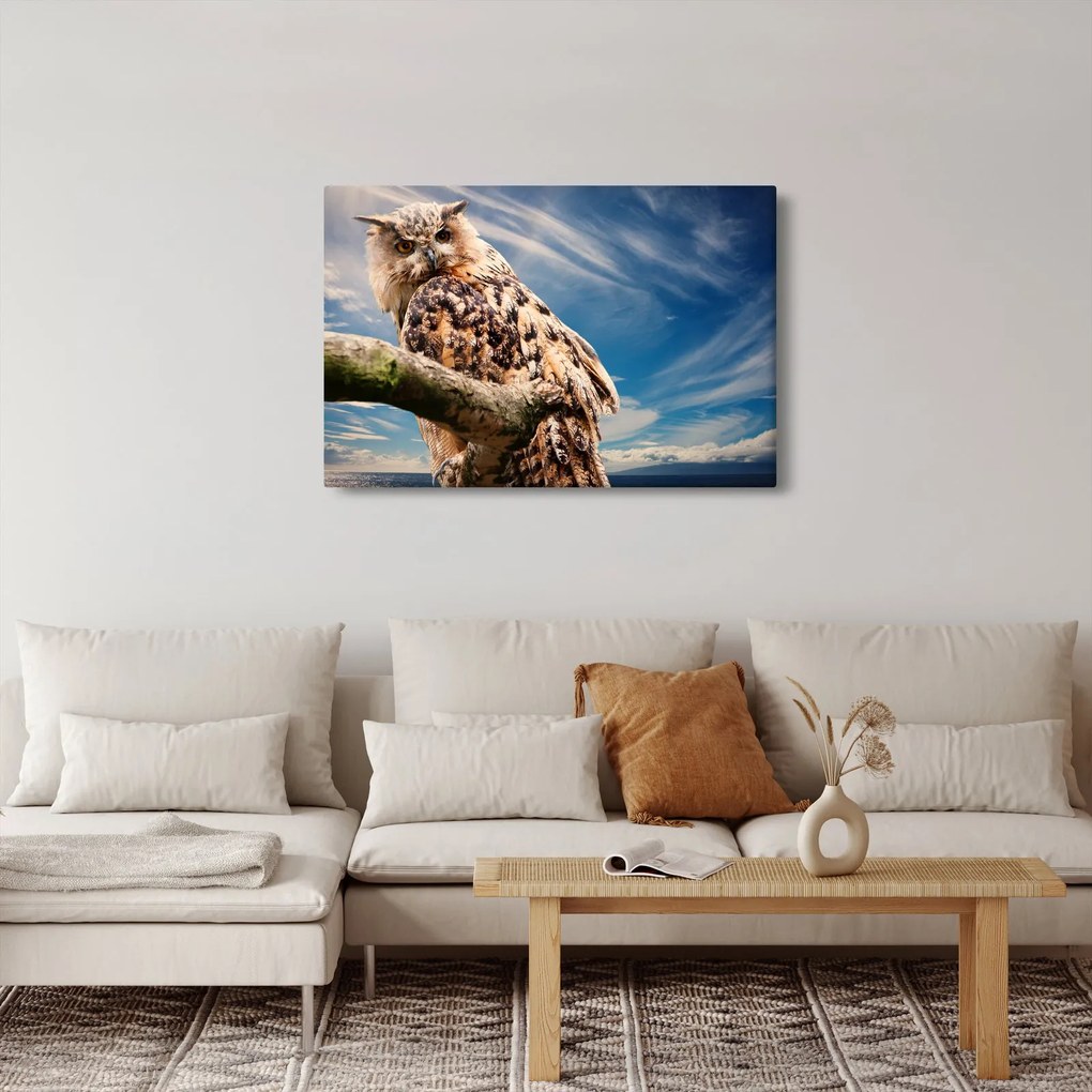 Obraz - Sova (90x60 cm)