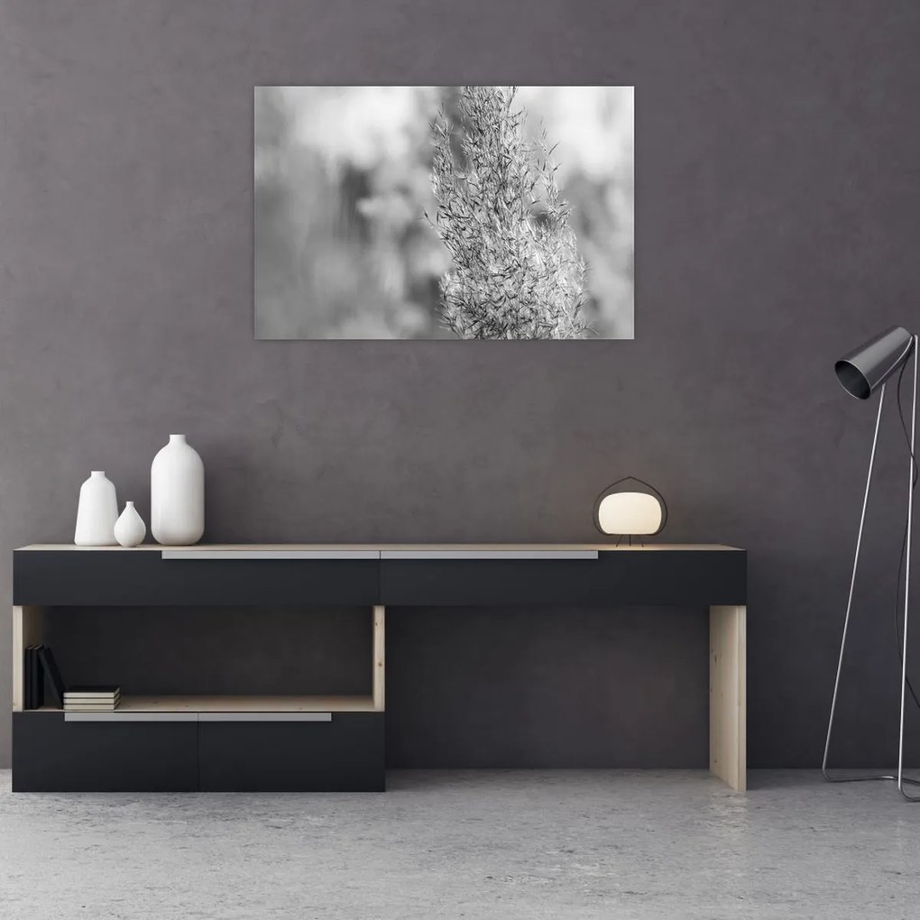 Obraz - Boho pampas grass (90x60 cm)