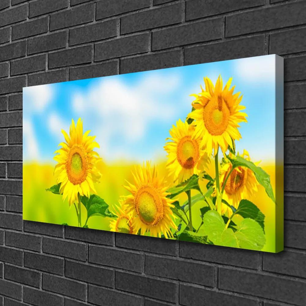 Obraz Canvas Slnečnica kvety príroda 120x60 cm