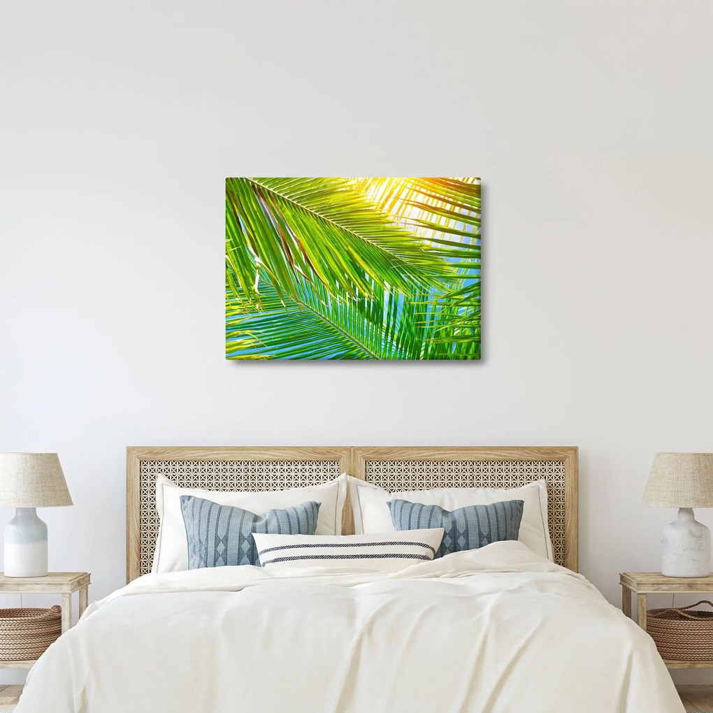Obraz - Palmové listy (70x50 cm)