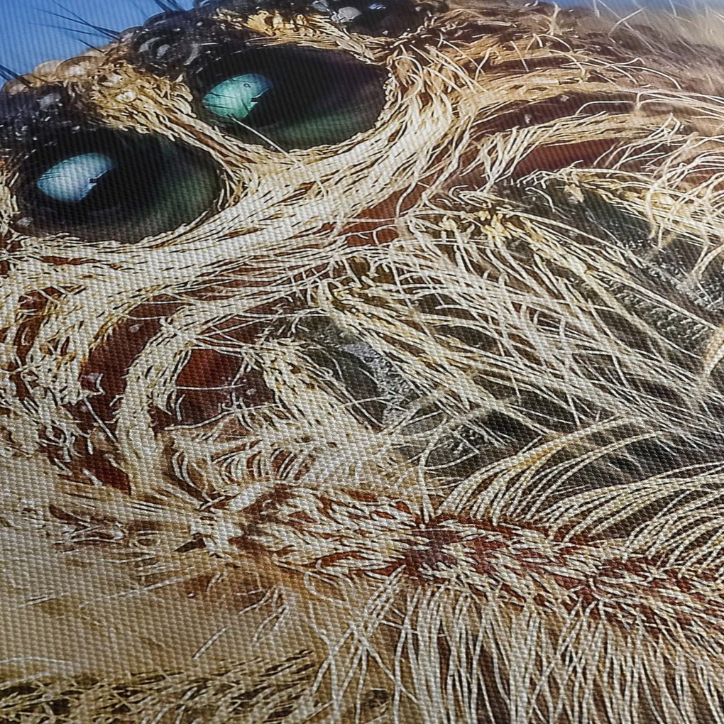 Obraz detailu pavúka (90x60 cm)