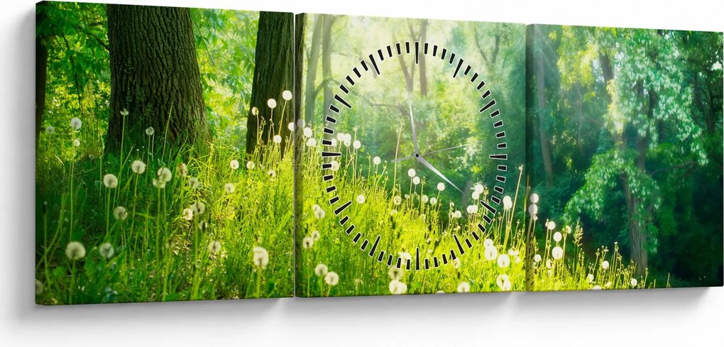 Obraz - Magická lúka plná púpav (s hodinami) (90x30 cm)