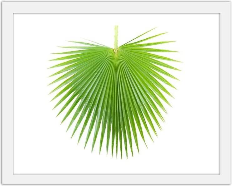 CARO Obraz v ráme - Green Palm Leaf Biela 40x30 cm