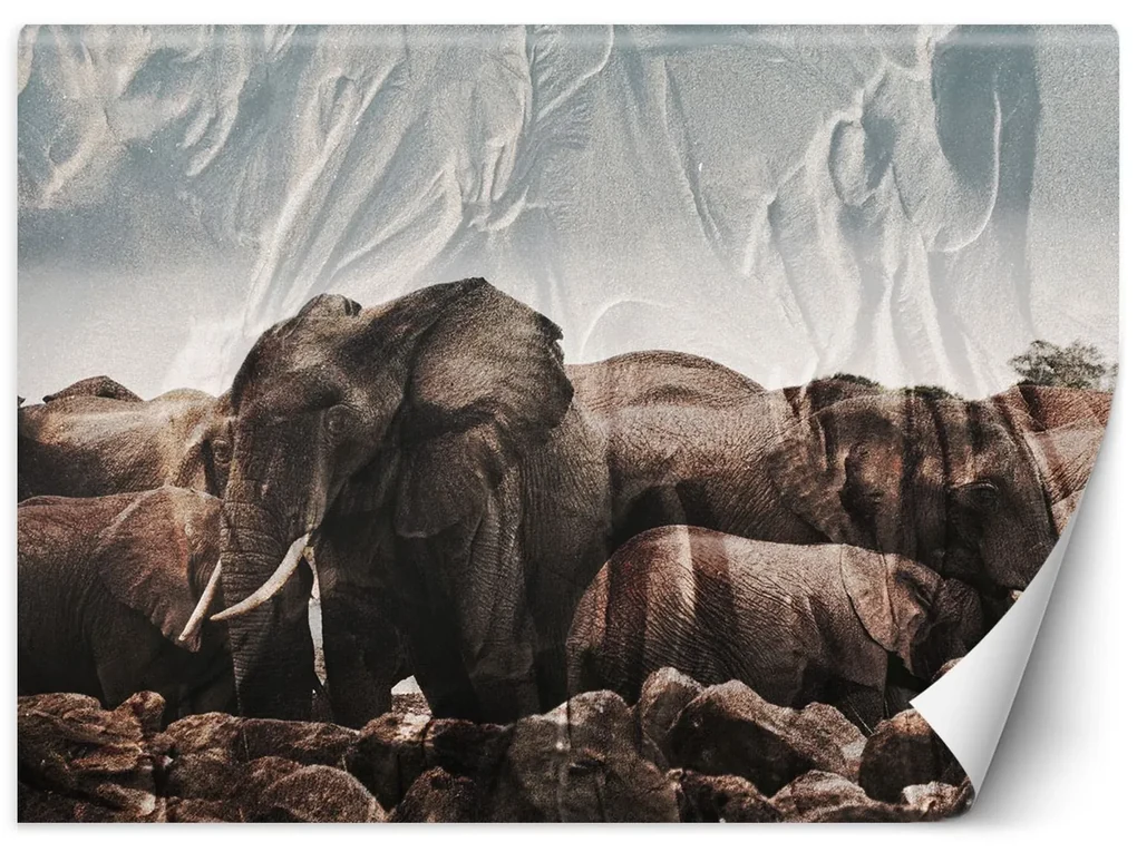 Gario Fototapeta Slony v stáde Materiál: Vliesová, Rozmery: 250 x 175 cm