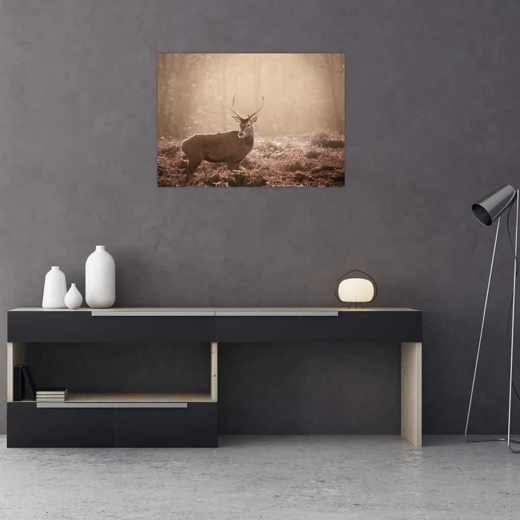 Obraz - Jeleň v lese (70x50 cm)