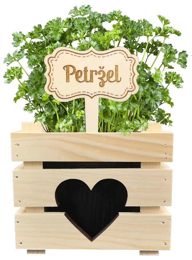 AMADEA Drevený zápich - ceduľka na bylinky Petržlen, výška 20 cm, český výrobok