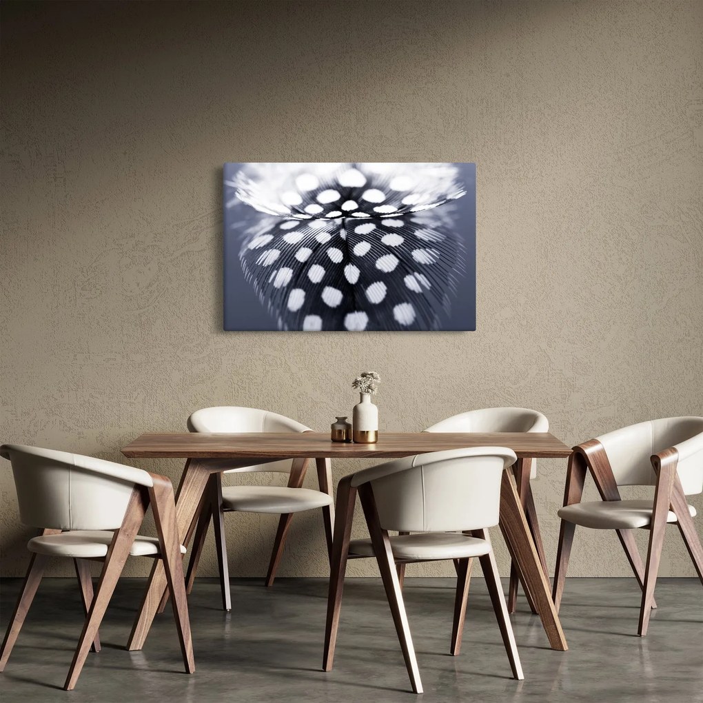 Obraz - Pierko (90x60 cm)