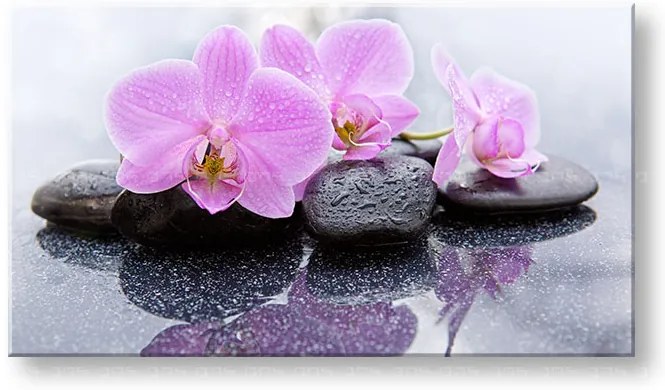 Obraz na plátne FENG SHUI_062-11 | rôzne rozmery