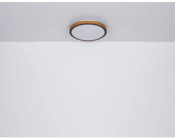 Globo 41766-24 - LED Stropné svietidlo SAMMI LED/24W/230V 3000/4500/6000K