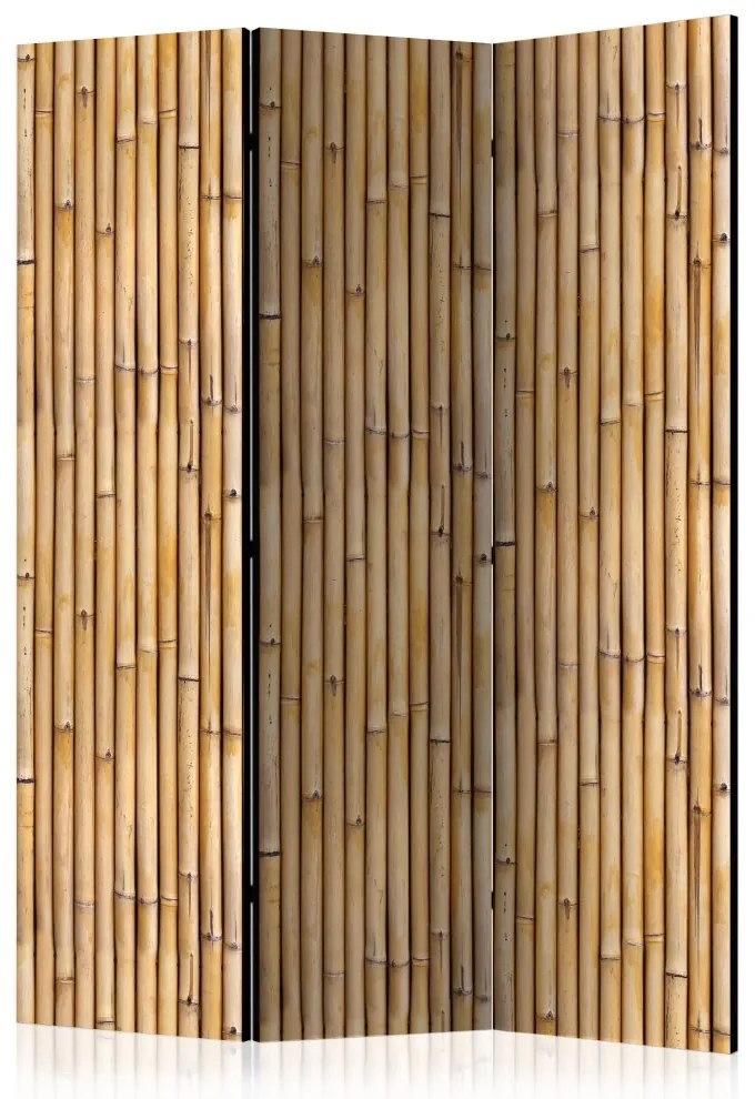 Artgeist Paraván - Amazonian Wall [Room Dividers]