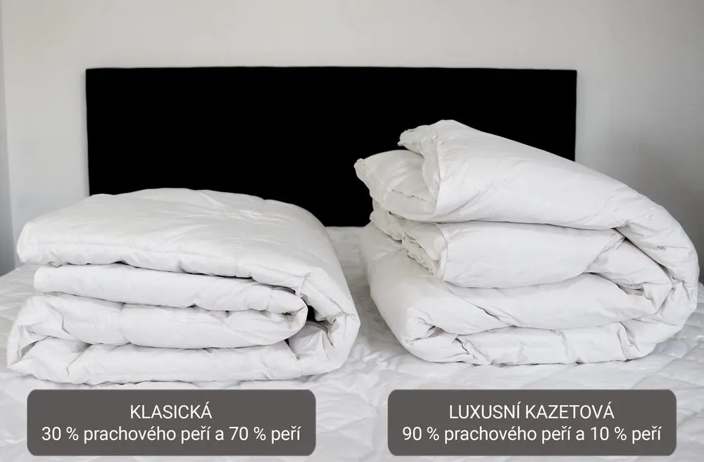 2G Lipov Súprava z peria Down & feather collection - 220x200 / 2x70x90 cm