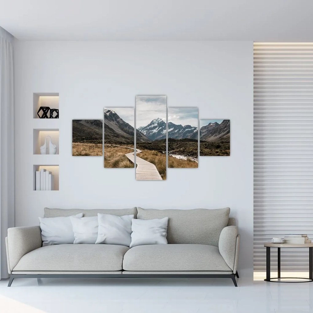 Obraz - Chodník v údolí hory Mt. Cook (125x70 cm), 40 ďalších rozmerov
