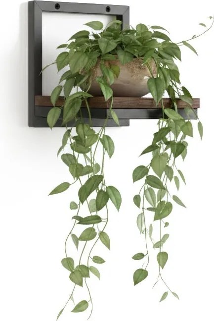 Nástěnný stojan na květiny MELODY 17x17 cm hnědý/černý