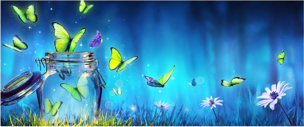 Obraz - Voľnosť (120x50 cm)