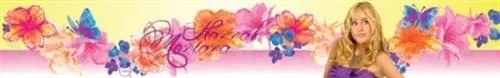 Samolepiace bordúry, rozmer 5 m x 10,6 cm, Hannah Montana s kvetmi a motýli, IMPOL TRADE 301