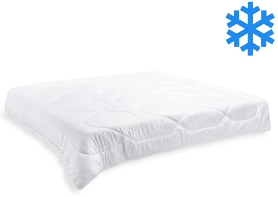 Brotex Prikrývka Thermo 200x200cm zimná 2400 g (600g/m2)