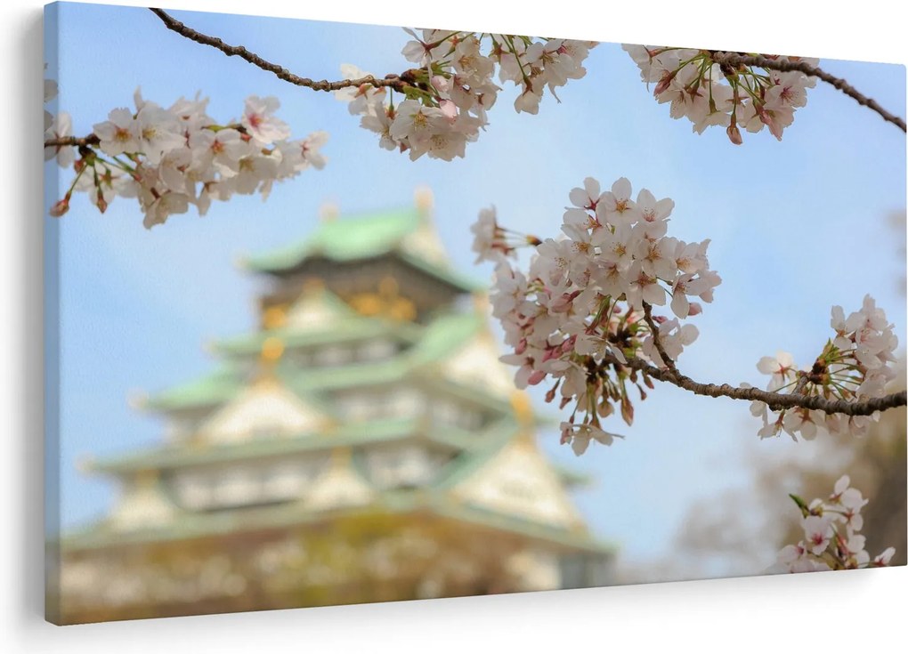 Obraz - Sakura (90x60 cm)