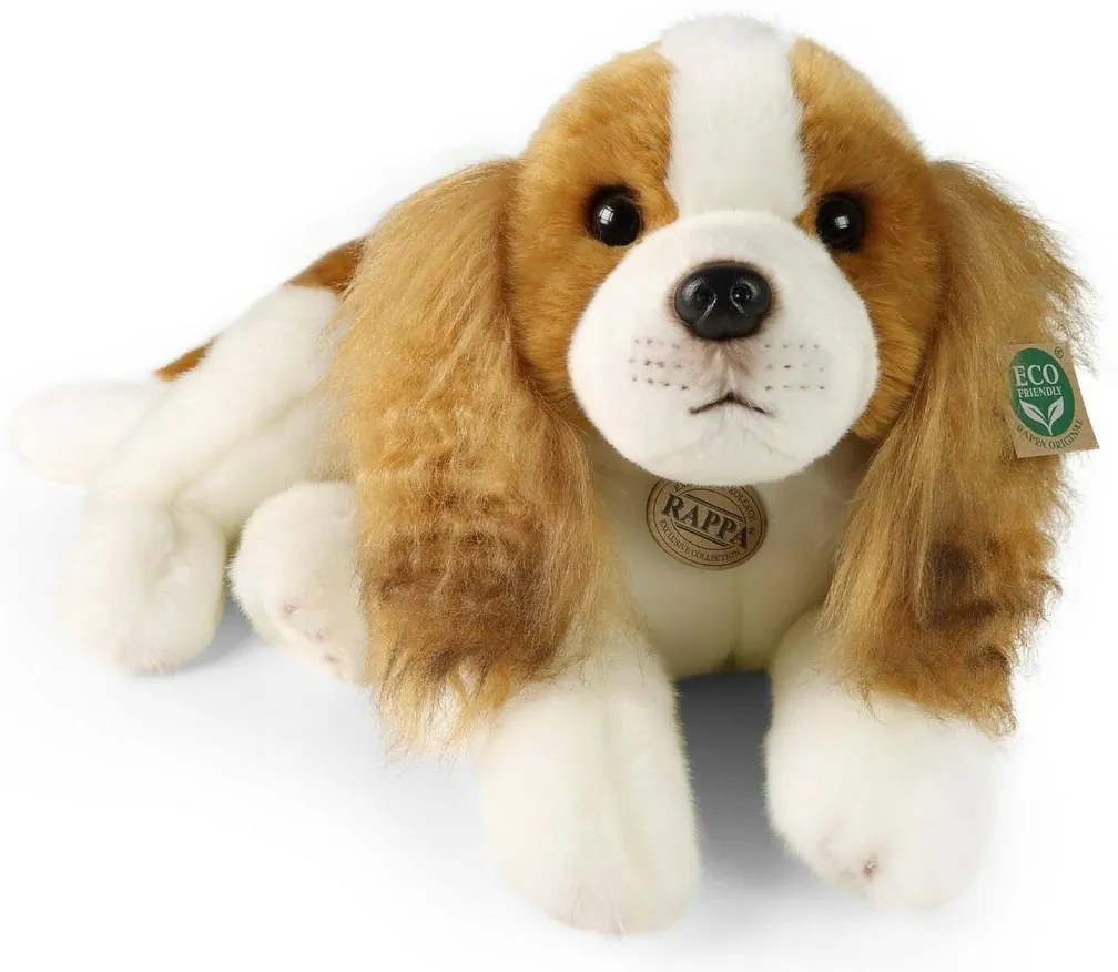 Rappa Plyšový pes Cavalier King Charles Spaniel 40cm ECO - FRIENDLY