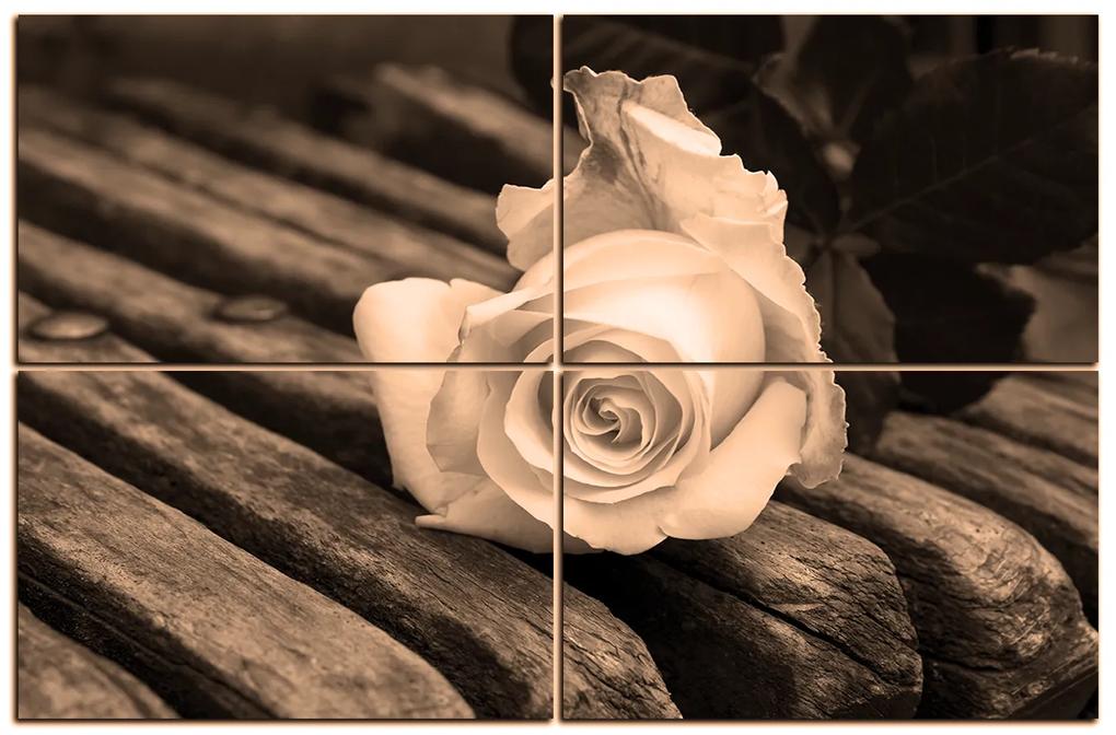 Obraz na plátne - Biela ruža na lavici 1224FE (90x60 cm)