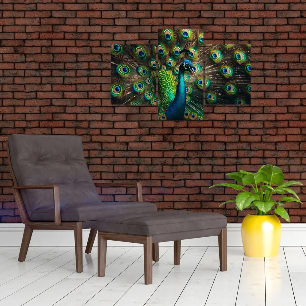 Obraz – Páv (90x60 cm)