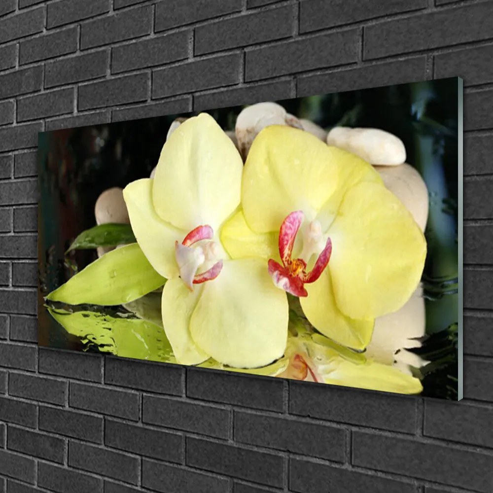 Skleneny obraz Okvetné plátky orchidea 100x50 cm