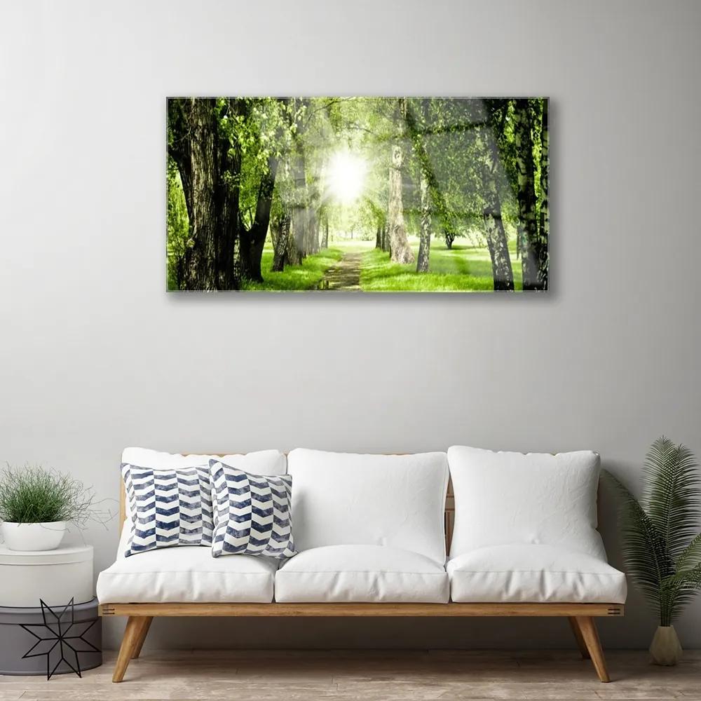 Skleneny obraz Les slnko chodník príroda 100x50 cm