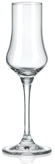 RONA UNIVERSAL POHÁR NA GRAPPU 100ML SADA 6KS