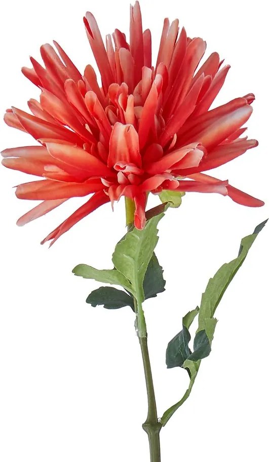FLORISTA Georgína 59 cm - červená
