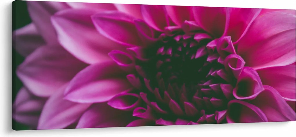 Obraz ružového kvetu (120x50 cm)