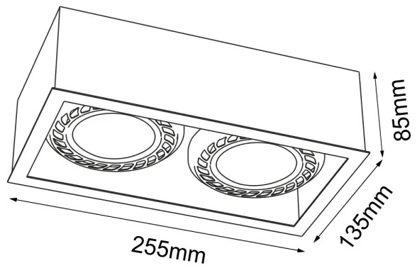 Brosline 1274 - Točkovna svetilka CAGE 2xGU10/18W/230V bela