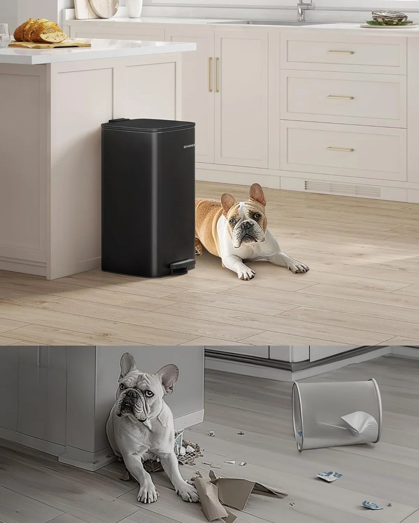 Odpadkový kôš Amis 30 l čierny