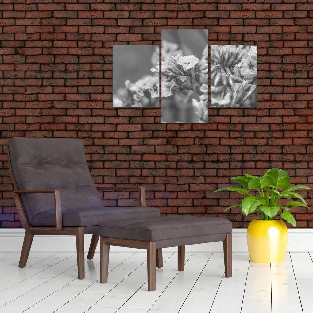 Obraz - Sušené kvety (90x60 cm)