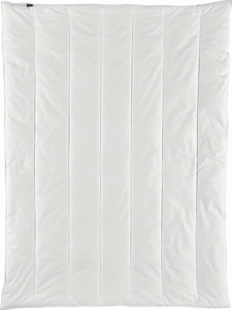 XXXLutz CELOROČNÁ PRIKRÝVKA, 200/200 cm, polyester Centa-Star - Prikrývky & vankúše - 003503029403