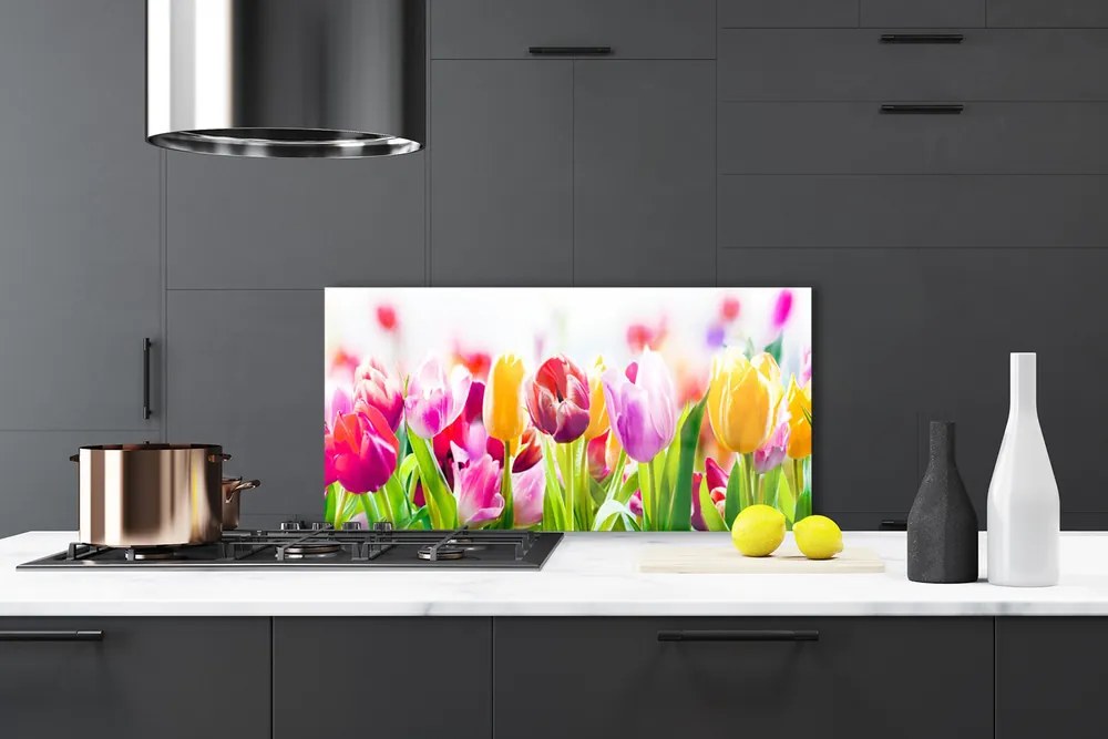 Nástenný panel  Tulipány kvety 100x50 cm