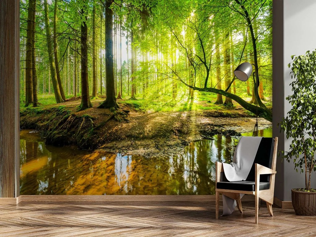 Gario Fototapeta Potok v lese pri východe slnka Materiál: Vliesová, Rozmery: 300 x 210 cm