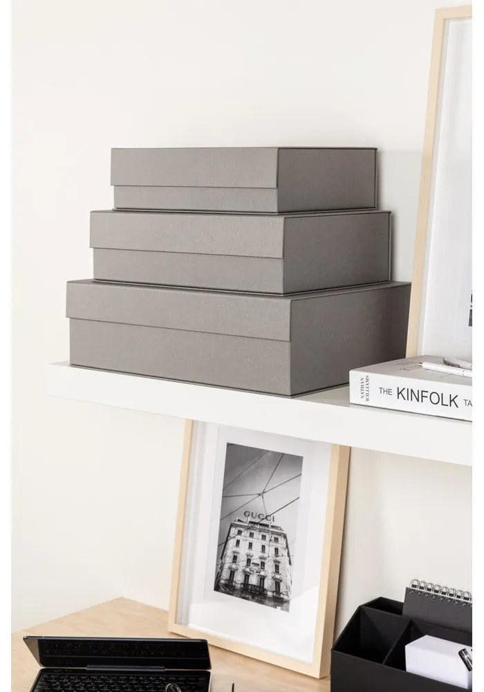 Sivé kartónové úložné boxy v súprave 3 ks s vekom/dekoratívne 42,5x29,5x13 cm Kian Paper Laminate – Bigso